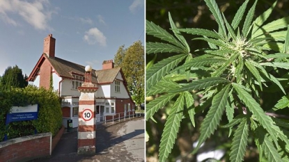 A cannabis factory was set up by drug gangs inside an hospital