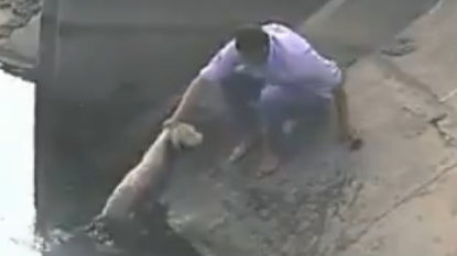 Man risked his life to save a flooded dog in an heroic act