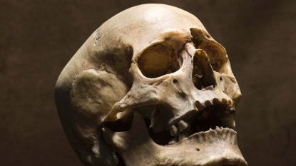 Charity store left shocked after finding a HUMAN SKULL as donation