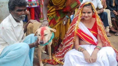 Unlucky girl married a stray dog because village elders said to do so