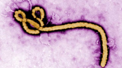 Ebola may turn into airborne disease – expert says