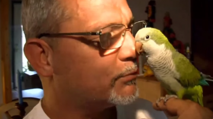 Man was to die because of his pet parrot