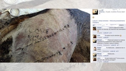 Medical student wrote ‘I love you’ for his girlfriend by stitching on dog’s stomach