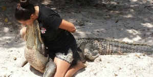 Mum continues fighting with the alligators in her eight months of pregnancy