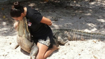 Mum continues fighting with the alligators in her eight months of pregnancy