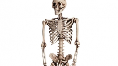 School is thinking to bury the skeleton which they are using since 40 years