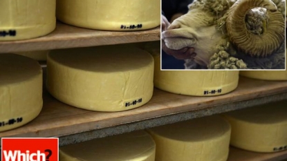 Supermarkets are selling goats cheese which is made up of sheep’s milk