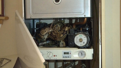 A 4ft snake found in kitchen’s boiler