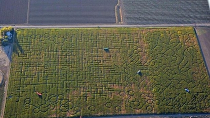 Family Called 911 after getting lost in the world’s largest maze