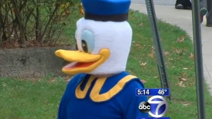 Police fined motorist for not stopping for the Donald duck