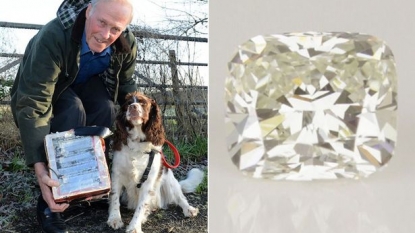 A Diamond worth $20,000 was found by dog walker