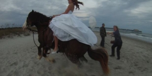 A wedding shoot ended in disaster after the horse bolted