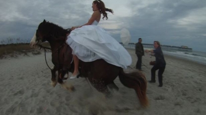 A wedding shoot ended in disaster after the horse bolted