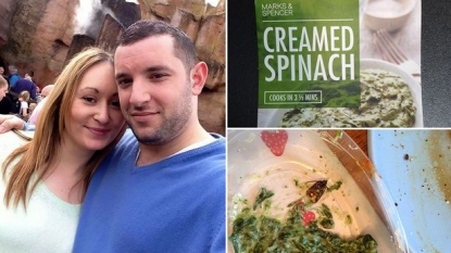 Couple left horrified after finding a cockroach in their spinach meal