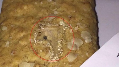 Man left horrified after spotting LIVE MAGGOT inside Kellogg’s Nutri-Grain bar