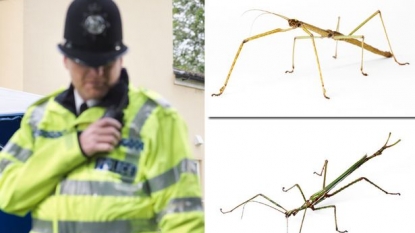 Mum called emergency services when her children were gifted STICK INSECT