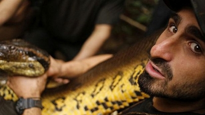 Wildlife expert set himself to be eaten by anaconda to film from inside