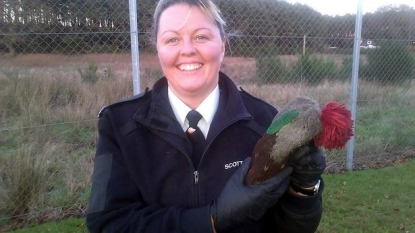 Woman called emergency services after seeing an injured parrot – but it turned out as a Christmas hat