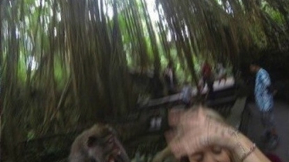 Woman wanted to take a selfie with monkey – but everything went wrong