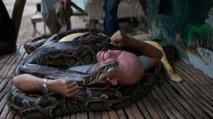 People are enjoying the massage by huge Pythons in the Philippines