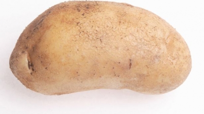 Police of Scotland are searching for the gang who throws potatoes on girls