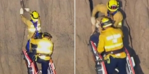 Dog trapped inside cliff successfully rescued by firefighters