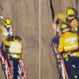 Dog trapped inside cliff successfully rescued by firefighters