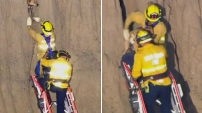 Dog trapped inside cliff successfully rescued by firefighters