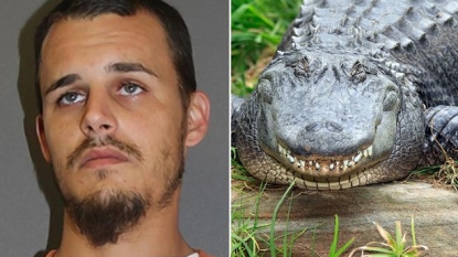 Man arrested for killing five alligator to serve their friends at party