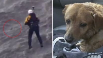 Moment when a dog rescued by helicopter during thunderstorm