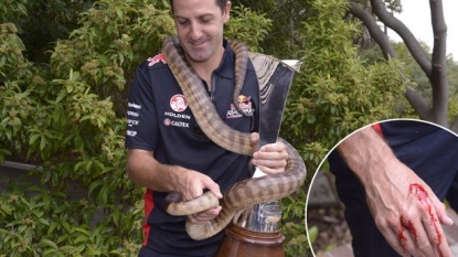 Racing champion got bitten by the python with whom he was posing