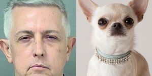 Wife called police after she caught her husband cheating on her with an animal