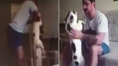 Woman dumped his husband to be after he got caught head-butting her pet dog