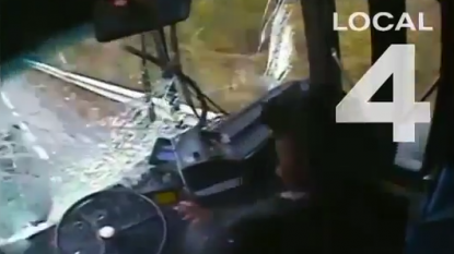 Bus driver fallen asleep on wheels and smashed several cars