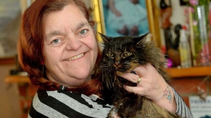 Cat returned home after eight years to die