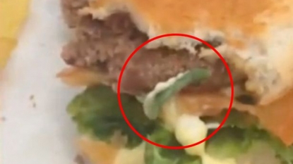 Man discovered a caterpillar into his cheeseburger