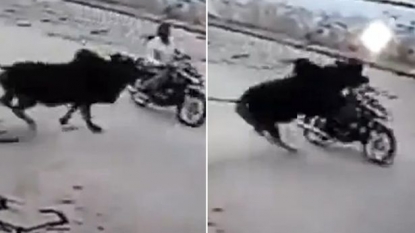 Shocking moment when a bull smashed into a biker