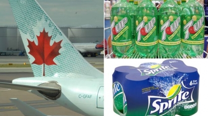 French man sued the Air Canada after he was given wrong drink by an English speaking stewardess