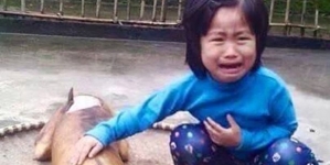 Moment when a five year old kid spotted her missing dog – roasted and ready to sale at meat vendor