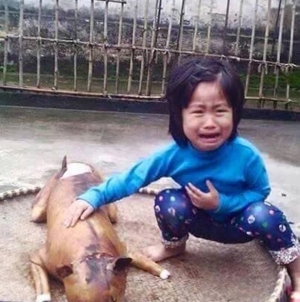 Moment when a five year old kid spotted her missing dog – roasted and ready to sale at meat vendor