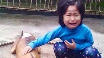 Moment when a five year old kid spotted her missing dog – roasted and ready to sale at meat vendor