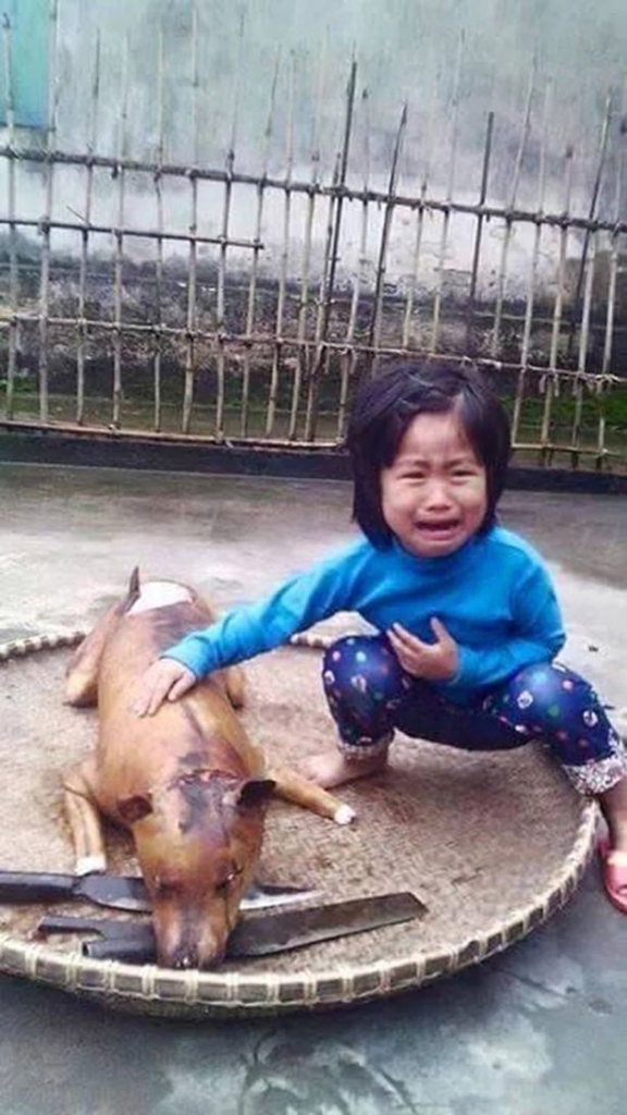 Moment when a five year old kid spotted her missing dog - roasted and ready to sale at meat vendor