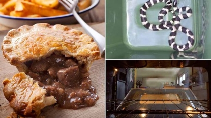 Pensioner left stunned after discovering a three foot snake in their kitchen’s oven