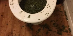 Police found cannabis in loo, after smelling through letter box