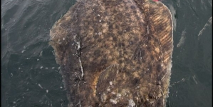 Angler jumped in freezing water to pose with his huge catch