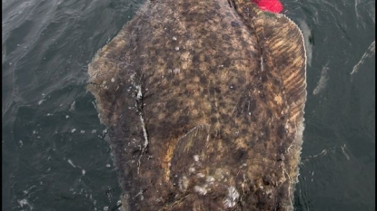 Angler jumped in freezing water to pose with his huge catch