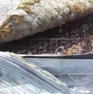 Family left stunned after discovering something disgusting inside their new mattress