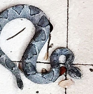 Police spent an hour dealing with a snake, eventually found it’s really a painted ornament