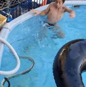 Terrifying footage shows young boys playing with huge snake in family swimming pool