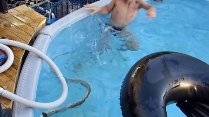Terrifying footage shows young boys playing with huge snake in family swimming pool